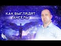 КАК ВЫГЛЯДЯТ АНГЕЛЫ – Михаил Агеев