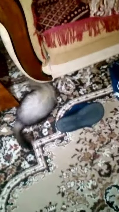 #Хуч - YouTube