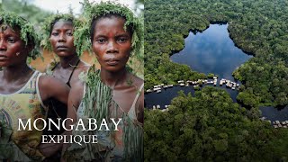 Les tourbières du Bassin du Congo | Mongabay Explique