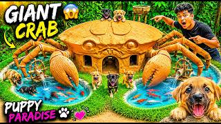 We Built The CUTEST Aquarium Fish Pond For 6 Abandoned Puppies  🐾🐟💗 *Their Reaction Was PRICELESS!*