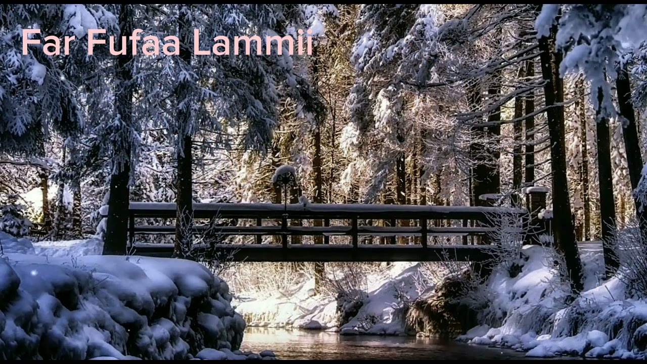 Far Fufaa Lammii