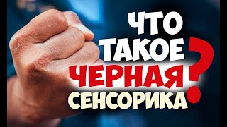 Что такое Черная Сенсорика? Соционика видео. Психология отношений. Тренинг по книге Ии Тамаровой.