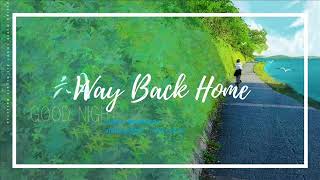 숀(Shaun) - Way back home COVER by 보라미유/video editor cover nhac