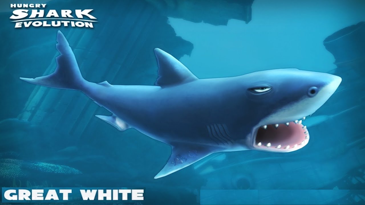 download the new version for ipod Hunting Shark 2023: Hungry Sea Monster download the new version for ipod Hunting Shark 2023: Hungry Sea Monster