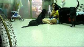 20100809-01 烏梅,黑唐,迪迪