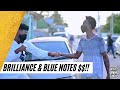 BRILLIANCE &amp; BLUE NOTES $$!! HE WON $1000!!!|  What Yuh Know- Trinidad