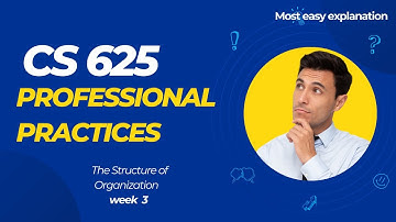 Cs625 Professional Practices :The Structure of Organization Week 3