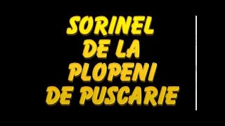 SORINEL DE LA PLOPENI  -  DE PUSCARIE HAI MAMA LA VORBITOR