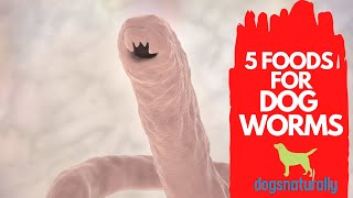 How To Get Rid of Dog Worms At Home: The Natural Way
