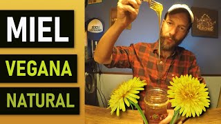 🌻 Miel vegana, miel de flores de diente de león, plantas medicinales, jalea vegana, diente de león