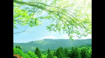 سورة الزمر .. عبدالعزيز العويد