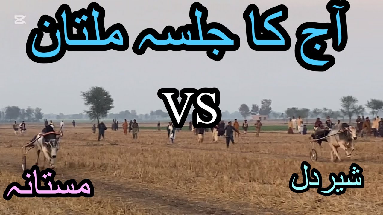 آج کا مقابلہ صیلع ملتان 28 December mela malak Melik asif bhba 