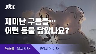 [날씨박사] '구름 감상 협회'에 나온 코알라 모양 구름 / JTBC 뉴스룸