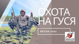 Весенняя охота на гуся в Якутии/ Сезон 2021