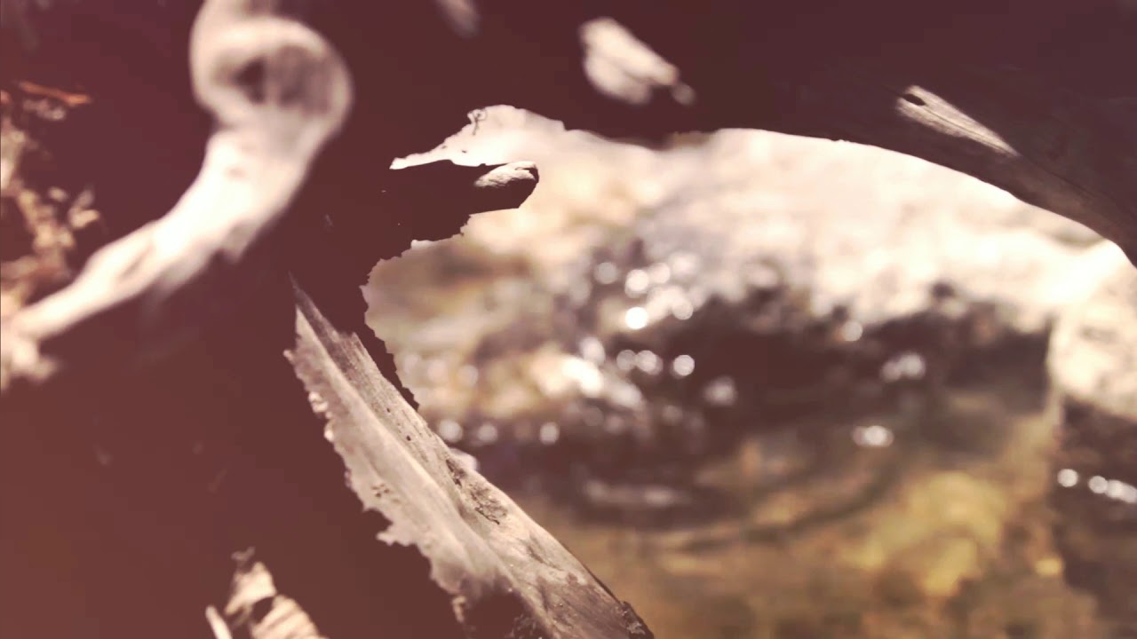 Your Colorado Realtors, Lina and Luca with Madison and Company