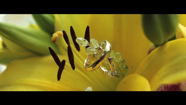 Wedding Cinematography Promo Video