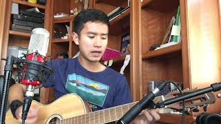 Till There Was You | The Beatles | Cover by Sergio Barretto