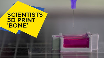Scientists use a novel ink to 3D print ‘bone’ with living cells