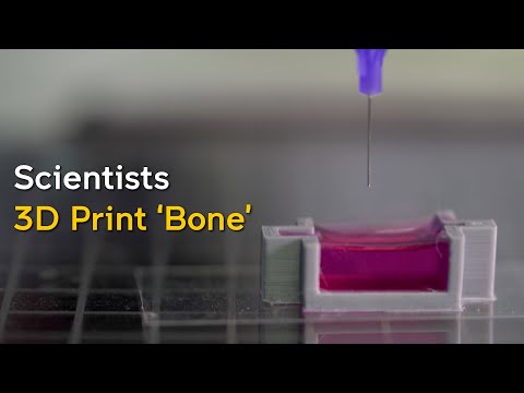 Scientists use a novel ink to 3D print ‘bone’ with living cells