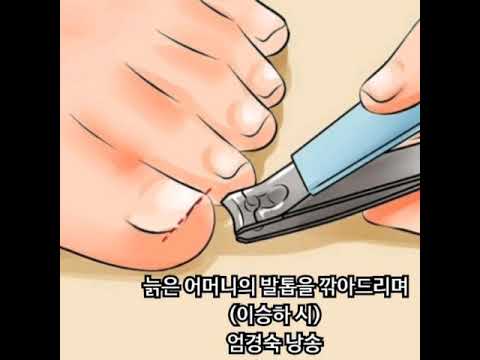 꽃뜰"표준발음법에 의한 낭송" " 늙은 어머니의 발톱을 깎아드리며"(이승하 시인 시)