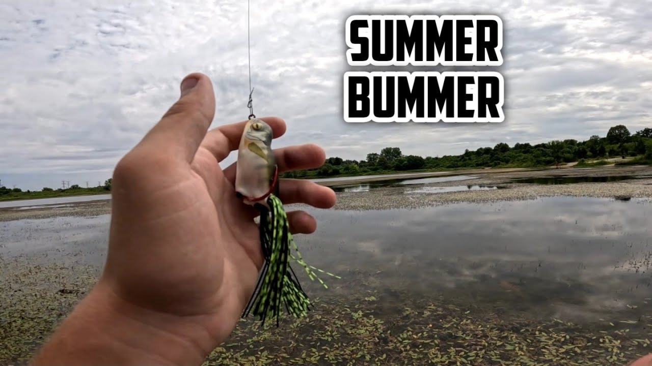 Bass Fishing The Dog Days Of Summer