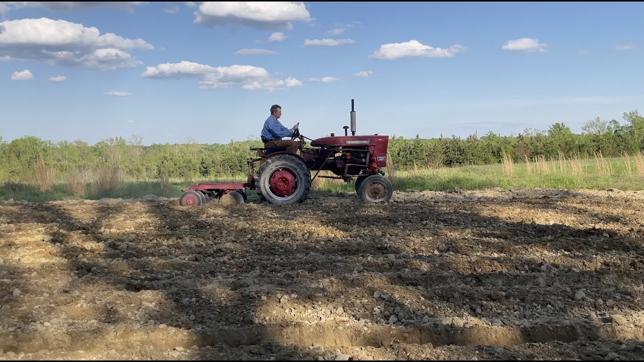 Farmall 140 Disking Hastings Prolific Corn Ground YouTube