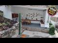 Casa Carlota | La Gomera, Spain | Hotel Review 🏩