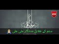 Lajpaal Ali by Asrar Whatsapp Status Whatsapp Status Video Download Free