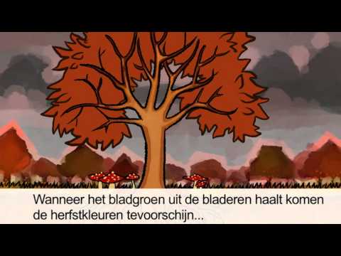 Video: Waarom verliezen loofbomen hun bladeren in de winter?