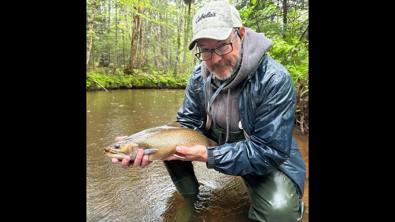 PEI Trout Fishing. Monster Brook Trout on the Fly Part 1 of 4 YouTube