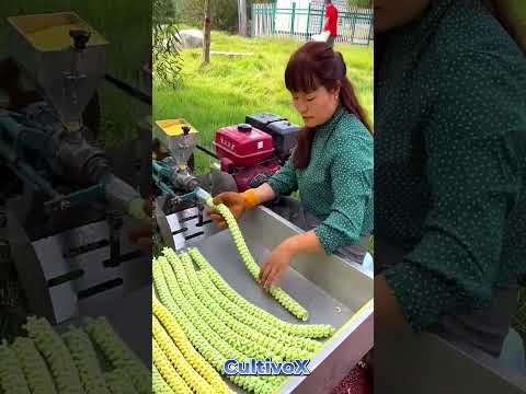 Processing Puffed Grain Snacks