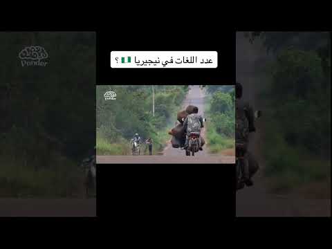 كم عدد لغات نيجيريا معلومات