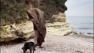 Multi-day survival camping by the sea with his dog.