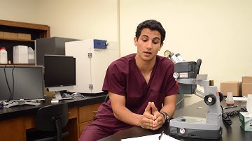 Meet Rami of the Discovery Program