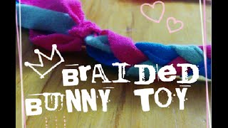 Bunny toy! by RENE OLIVIER 30 views 7 years ago 56 seconds