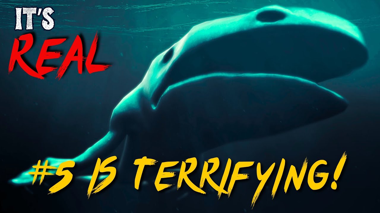 12 Sea Monsters That Might ACTUALLY Exist! 🐙 Part 3 - YouTube
