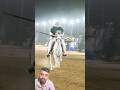 Views Problem please like share subscribe#music#horse#nezabaazi#photography#ghoda viral greenscreen