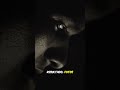 😱 Apple elimina el modo retrato nocturno del iPhone 17 Pro #shortsfeed #shorts #short #shortsviral