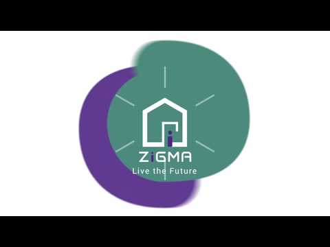 Zigma Spark Paring Instruction