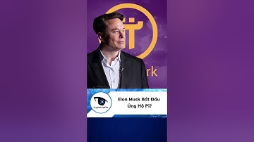 Elon Musk Bắt Đầu Ủng Hộ Pi?