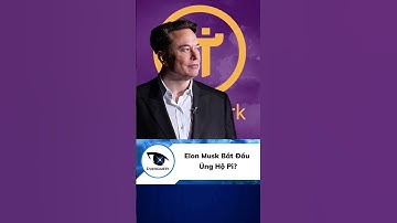 Elon Musk Bắt Đầu Ủng Hộ Pi?