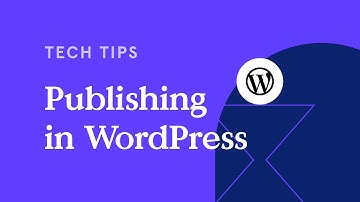 How Do I Publish My Page to WordPress?