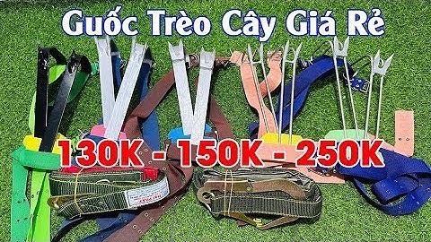 Dụng cụ trèo cây / Móng leo cây an toàn giá rẻ / Guốc trèo cây 2 đinh / combo chỉ còn 130k