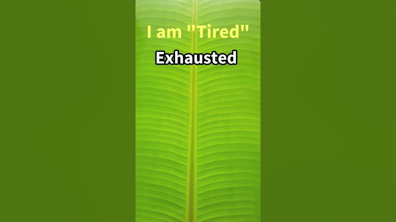 different-words-in-place-of-tired-stop-saying-i-am-tired