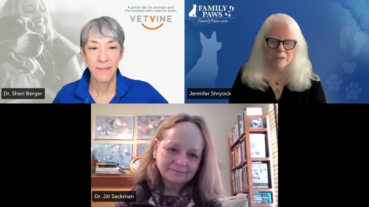 Dog Bites - Prevention and other considerations