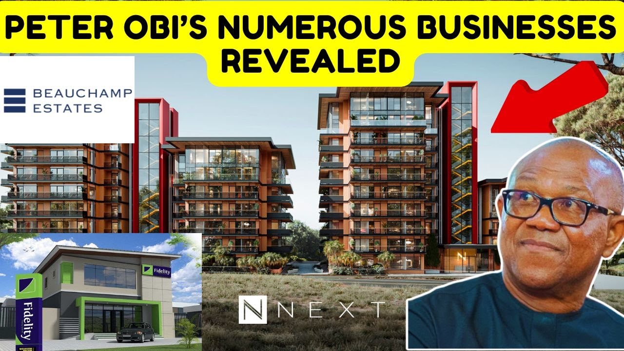 Peter Obi’s Numerous Businesses Revealed – Could He Be the Richest Igbo Man?