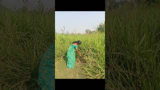 #nature#natural farming