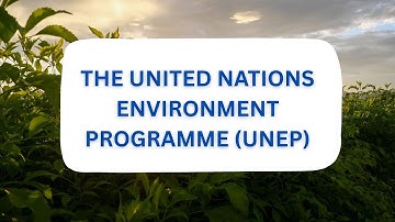 THE UNITED NATIONS ENVIRONMENT PROGRAMME (UNEP)