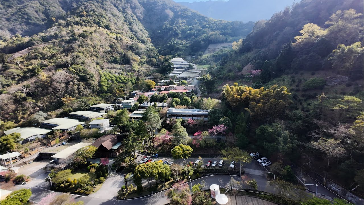 林俊恭，2026年草坪頭櫻花季，東埔溫泉達谷蘭溫泉會館，空拍機巡禮。