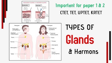 CDP | Glands and Hormones in 13 Minutes | CTET TET 2025 | Psychology Important Topic